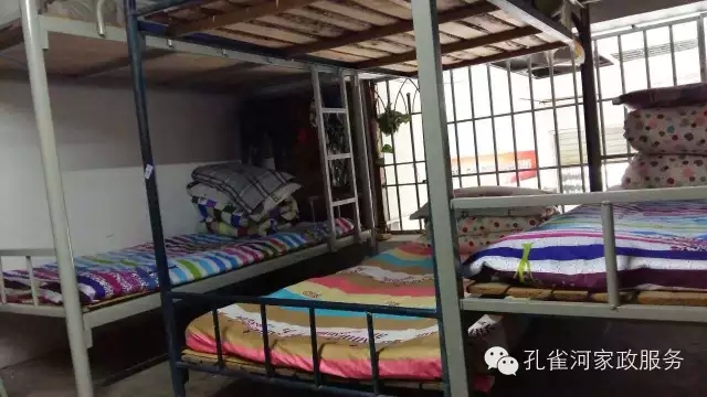 ��ȸ�Ӽ�����ķ������ů��ů��������