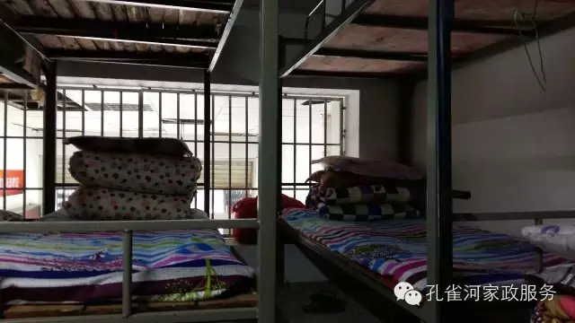 ��ȸ�Ӽ�����ķ������ů��ů�����ģ�