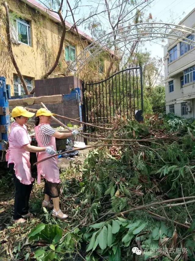 ��������y���������