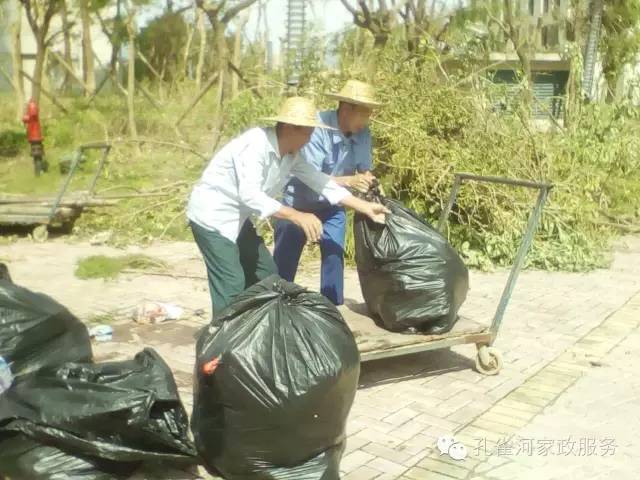 ��������y���������