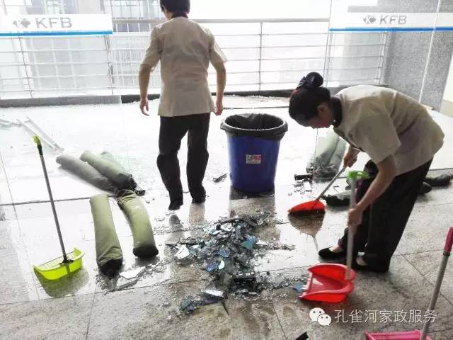 ��������y���������