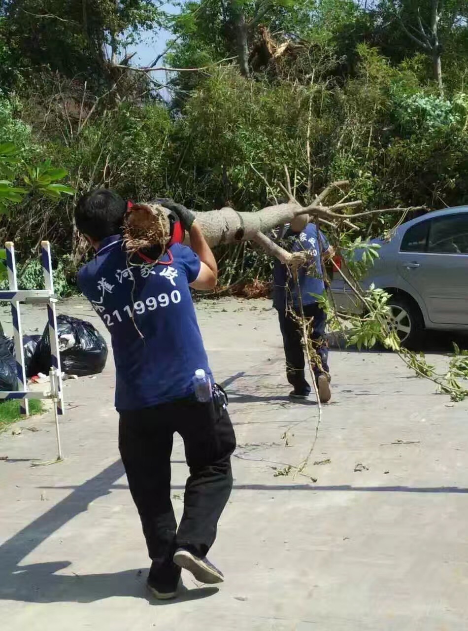 �B�T������˾�����ĺ��ؽ��x�����