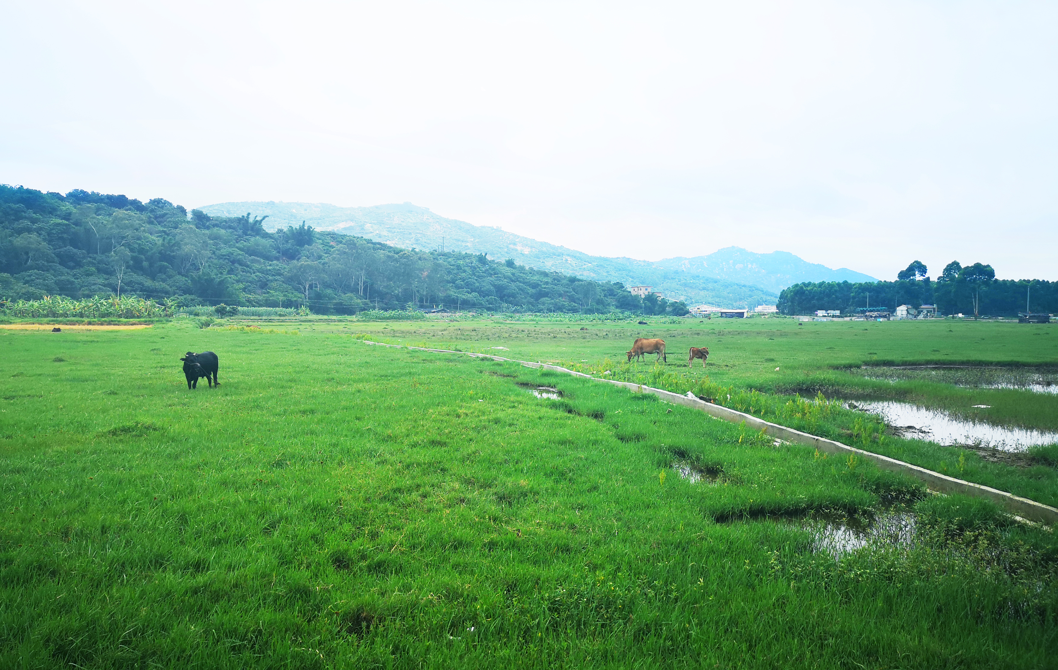 ���؄e��Ϣ���@�ε��ի@�H�S����ȸ���H�ӻ�������Y(ji��)������