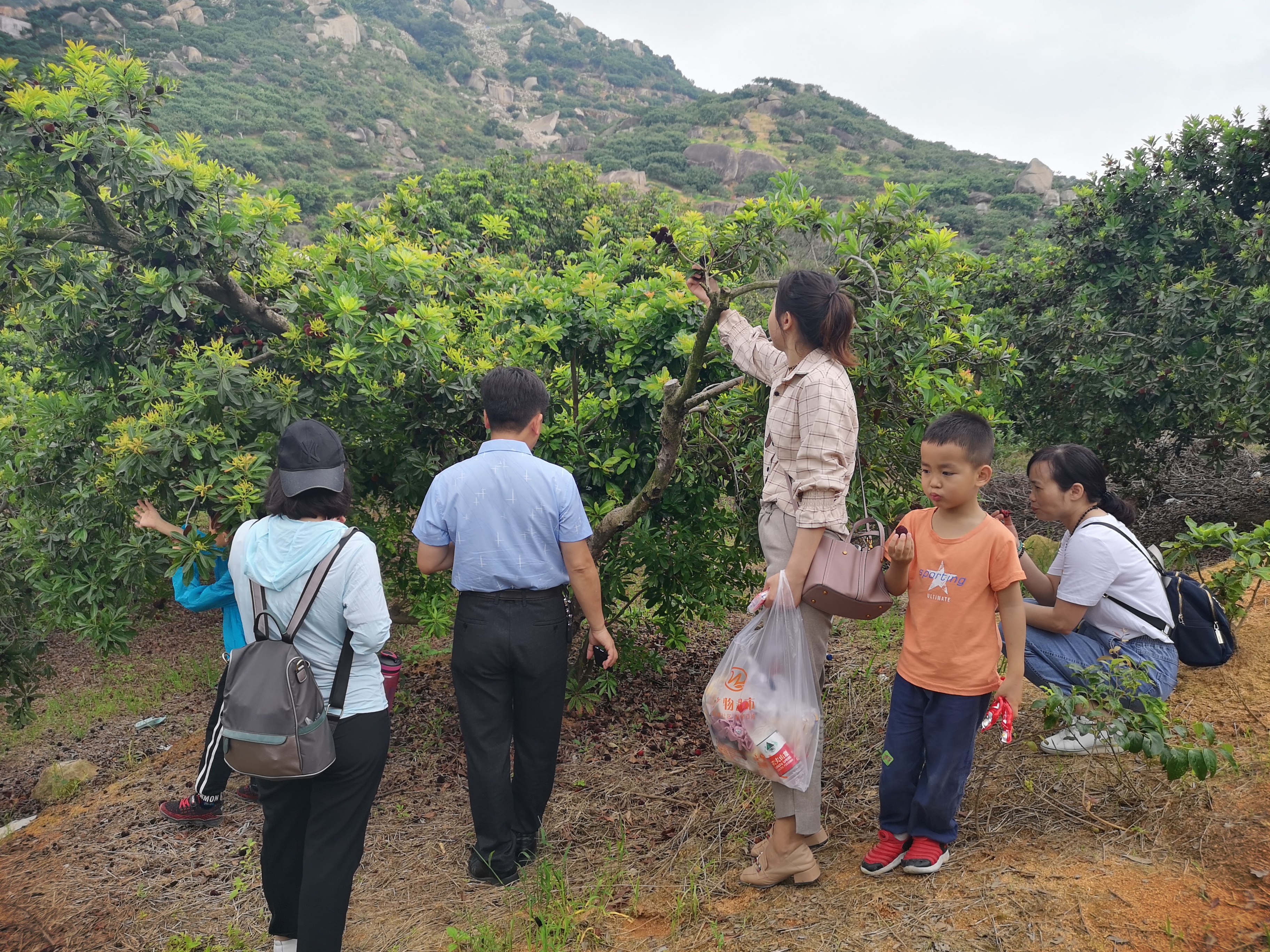 ���؄e��Ϣ���@�ε��ի@�H�S����ȸ���H�ӻ�������Y(ji��)������