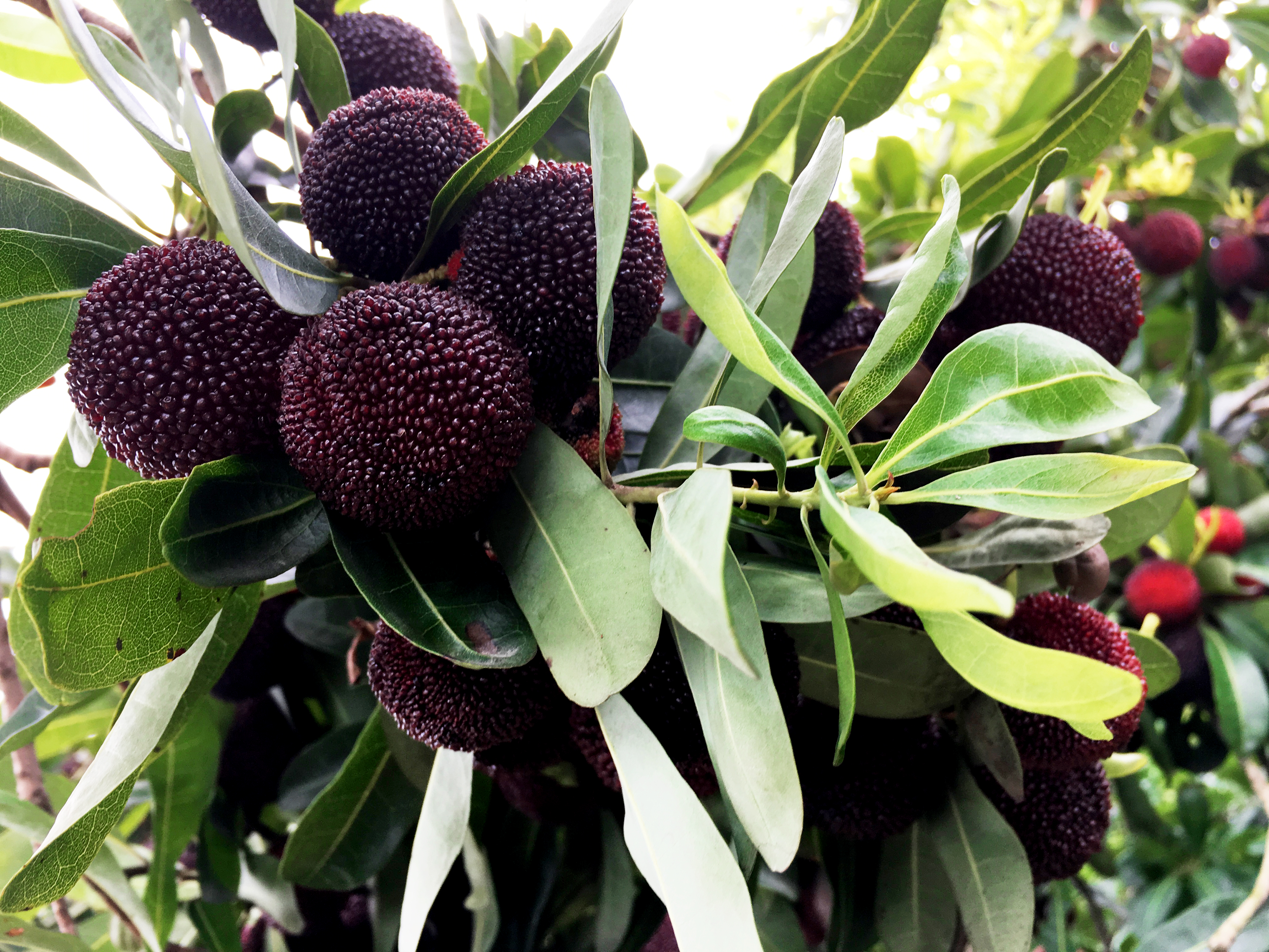 ���؄e��Ϣ���@�ε��ի@�H�S����ȸ���H�ӻ�������Y(ji��)������