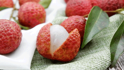 ��֦����һ���@��������ȸ����ɩ��Ӗ(x��n)���f(w��n)��